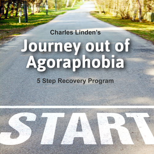 Journey Out of Agoraphobia — book cover